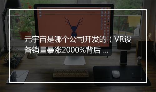 元宇宙是哪个公司开发的（VR设备销量暴涨2000%背后 ）