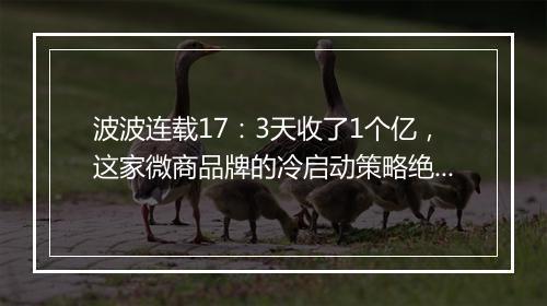 波波连载17：3天收了1个亿，这家微商品牌的冷启动策略绝对经典