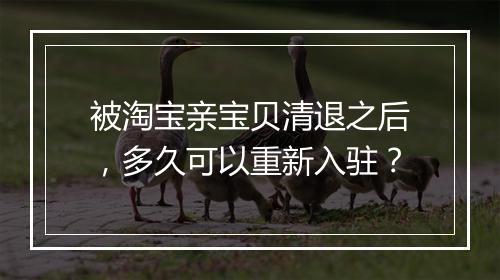 被淘宝亲宝贝清退之后，多久可以重新入驻？