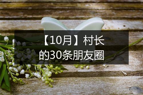 【10月】村长的30条朋友圈