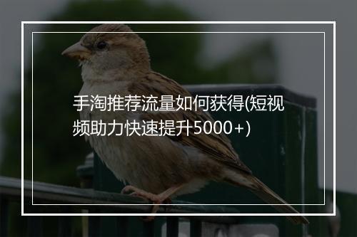手淘推荐流量如何获得(短视频助力快速提升5000+)
