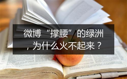 微博“撑腰”的绿洲，为什么火不起来？