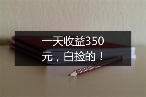 一天收益350元，白捡的！
