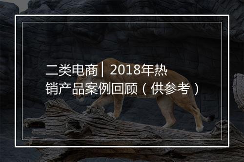二类电商 ▏2018年热销产品案例回顾（供参考）