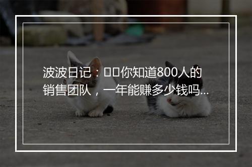 波波日记：​​你知道800人的销售团队，一年能赚多少钱吗​（第536天）