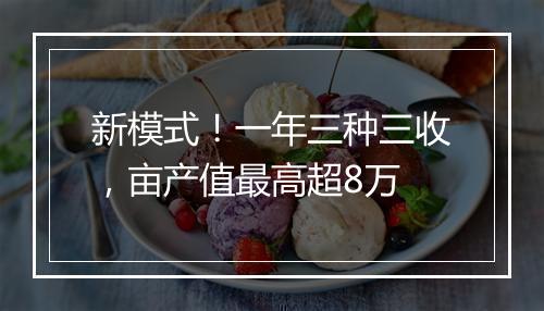 新模式！一年三种三收，亩产值最高超8万