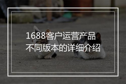 1688客户运营产品不同版本的详细介绍