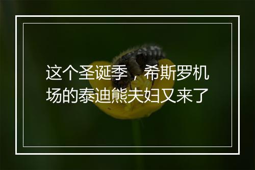 这个圣诞季，希斯罗机场的泰迪熊夫妇又来了