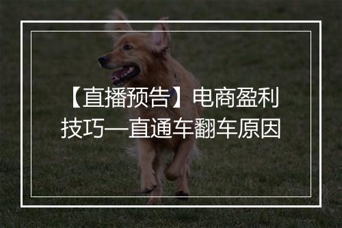 【直播预告】电商盈利技巧—直通车翻车原因
