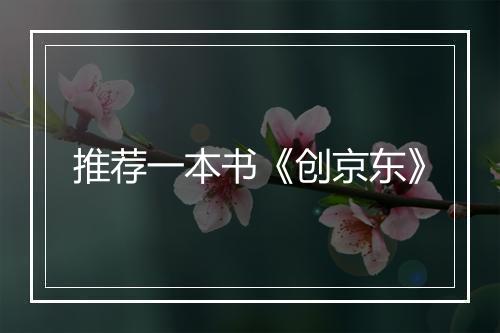 推荐一本书《创京东》
