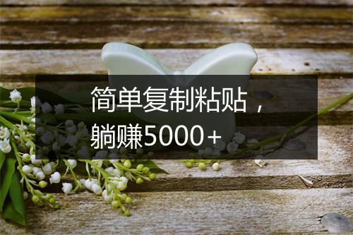 简单复制粘贴，躺赚5000+
