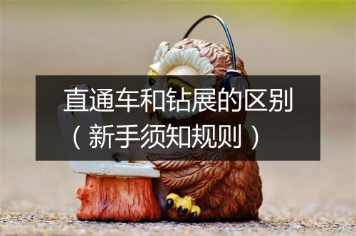 直通车和钻展的区别（新手须知规则）