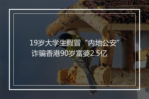 19岁大学生假冒“内地公安” 诈骗香港90岁富婆2.5亿