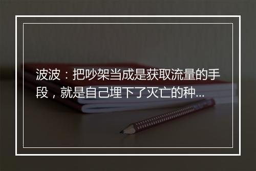波波：把吵架当成是获取流量的手段，就是自己埋下了灭亡的种子