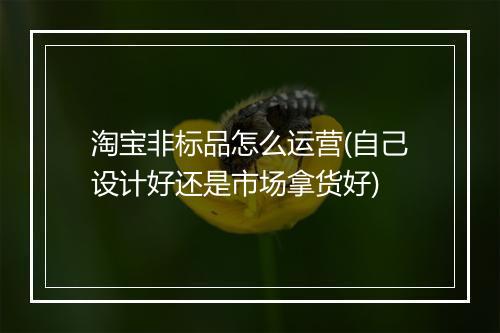 淘宝非标品怎么运营(自己设计好还是市场拿货好)