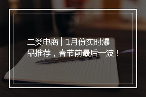 二类电商 ▏1月份实时爆品推荐，春节前最后一波！