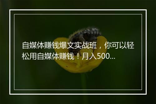 自媒体赚钱爆文实战班，你可以轻松用自媒体赚钱！月入5000+