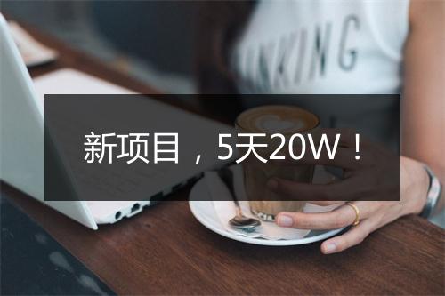 新项目，5天20W！