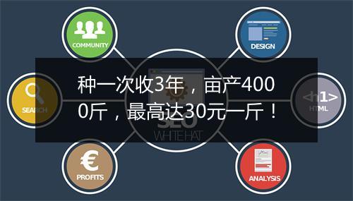 种一次收3年，亩产4000斤，最高达30元一斤！