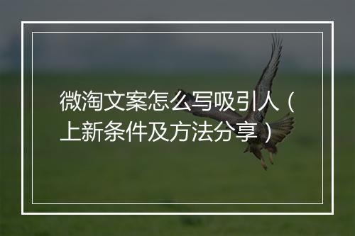 微淘文案怎么写吸引人（上新条件及方法分享）