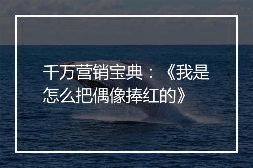 千万营销宝典：《我是怎么把偶像捧红的》