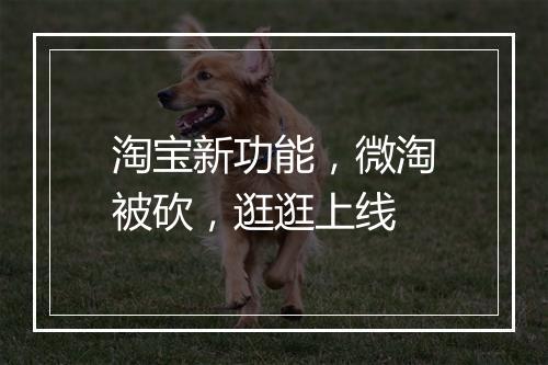 淘宝新功能，微淘被砍，逛逛上线