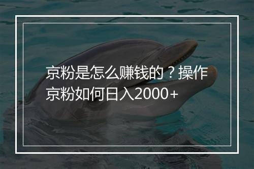京粉是怎么赚钱的？操作京粉如何日入2000+