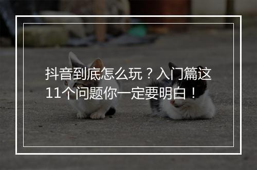 抖音到底怎么玩？入门篇这11个问题你一定要明白！