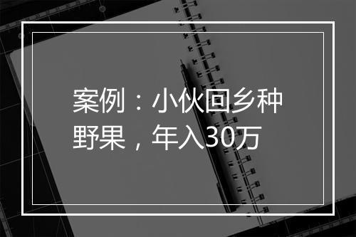 案例：小伙回乡种野果，年入30万
