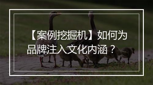 【案例挖掘机】如何为品牌注入文化内涵？