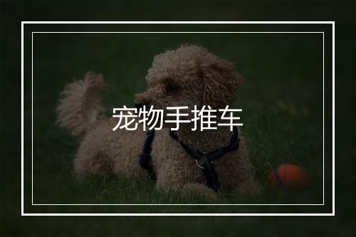 宠物手推车