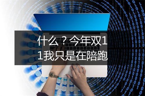什么？今年双11我只是在陪跑