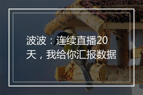 波波：连续直播20天，我给你汇报数据
