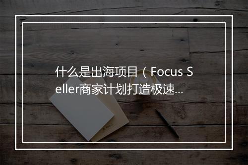 什么是出海项目（Focus Seller商家计划打造极速出海通道）