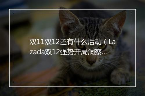 双11双12还有什么活动（Lazada双12强势开局洞察新趋势）