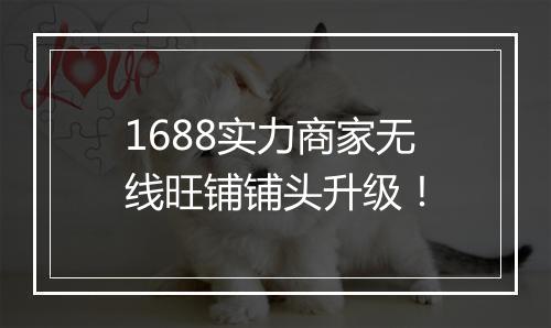 1688实力商家无线旺铺铺头升级！
