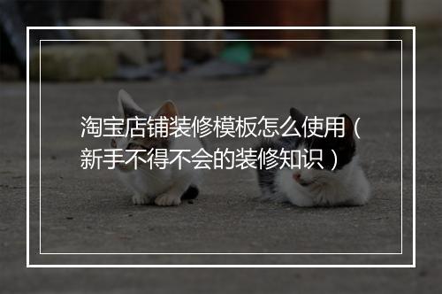 淘宝店铺装修模板怎么使用（新手不得不会的装修知识）