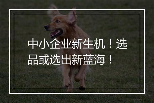 中小企业新生机！选品或选出新蓝海！