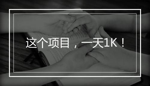 这个项目，一天1K！
