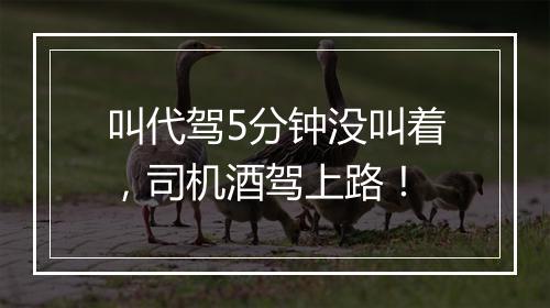 叫代驾5分钟没叫着，司机酒驾上路！