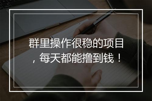 群里操作很稳的项目，每天都能撸到钱！