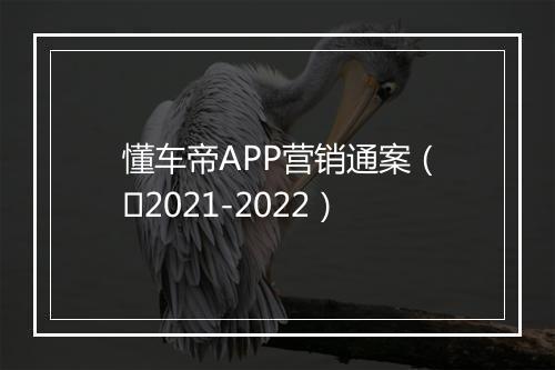 懂车帝APP营销通案（​2021-2022）