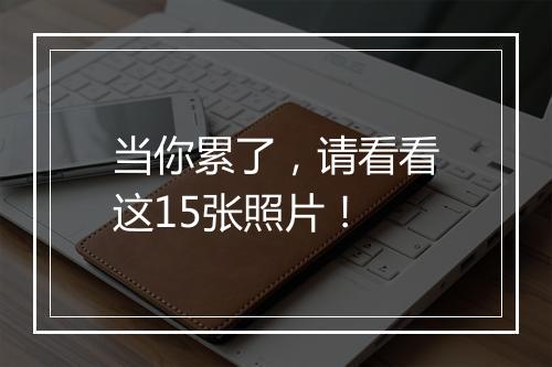 当你累了，请看看这15张照片！