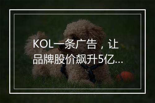 KOL一条广告，让品牌股价飙升5亿…