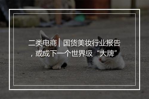 二类电商 ▏国货美妆行业报告，或成下一个世界级“大牌”
