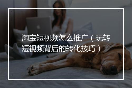 淘宝短视频怎么推广（玩转短视频背后的转化技巧）