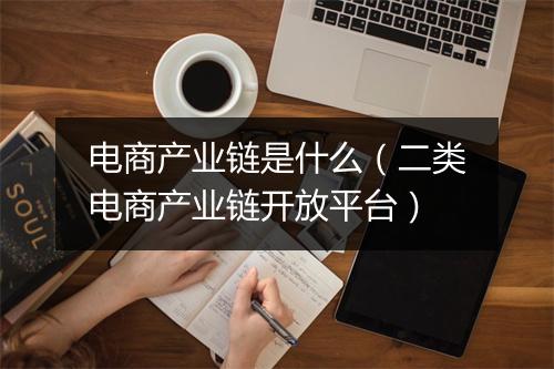 电商产业链是什么（二类电商产业链开放平台）