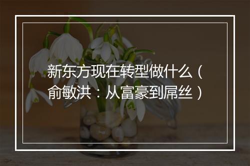 新东方现在转型做什么（俞敏洪：从富豪到屌丝）
