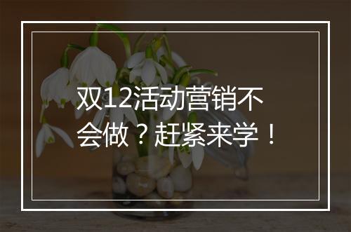 双12活动营销不会做？赶紧来学！