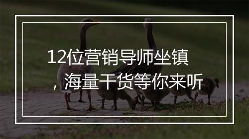 12位营销导师坐镇，海量干货等你来听